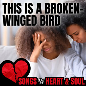 This is a Broken Winged Bird - cover art